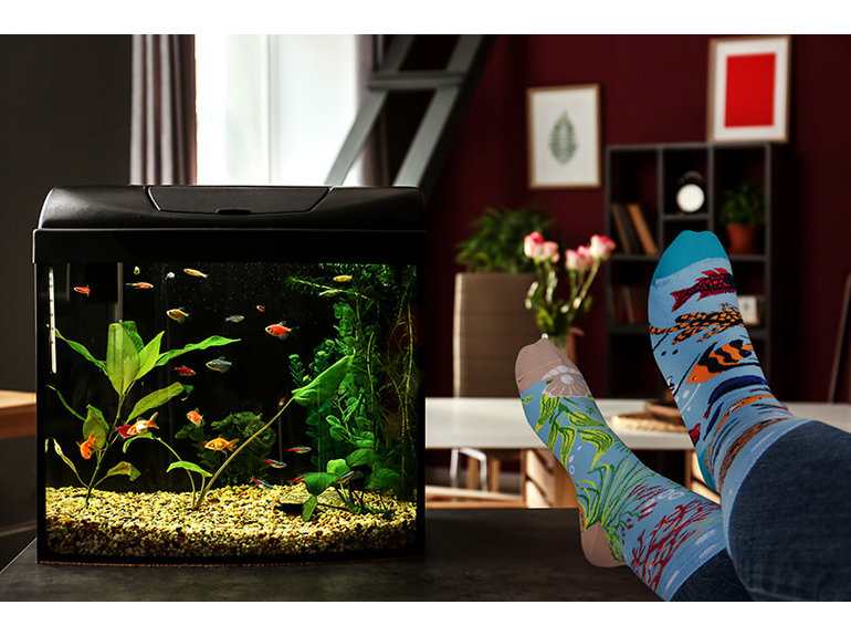 Spox Sox Aquarium by Spox Sox