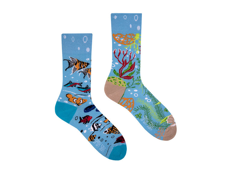 Spox Sox Aquarium by Spox Sox