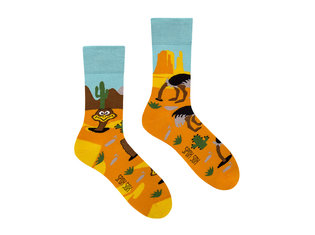 Ostrich burying head in sand by Spox Sox