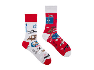 Spox Sox Cat and Dog Life by Spox Sox Cat and Dog Life by Spox Sox