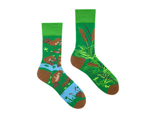 Spox Sox Beavers by Spox Sox Beavers by Spox Sox