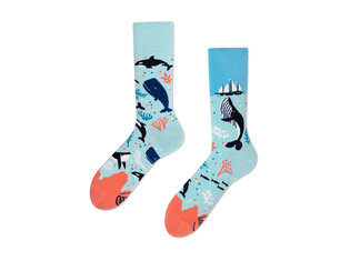 Ocean Life by Many Mornings