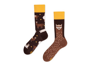 Fluffy Alpaca by Many Mornings