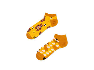 Many Mornings Honey Bear - Laag by Many Mornings Honey Bear - Laag by Many Mornings