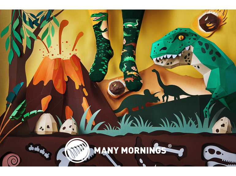 Many Mornings The Dinosaurs by Many Mornings