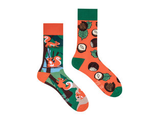 Spox Sox Squirrels by Spox Sox Squirrels by Spox Sox