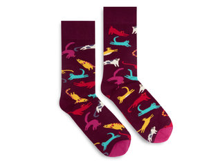 Banana Socks Meow by Banana Socks Meow by Banana Socks