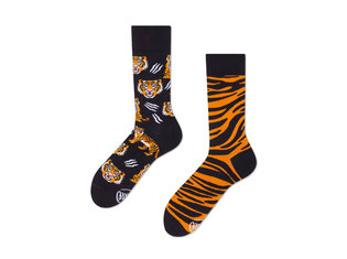 Many Mornings Feet of the Tiger by Many Mornings Feet of the Tiger by Many Mornings