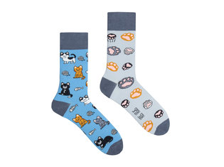 Spox Sox Cats by Spox Sox Cats by Spox Sox