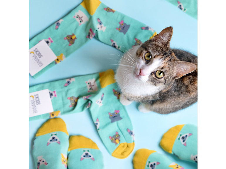 Banana Socks Cat Lover by Banana Socks