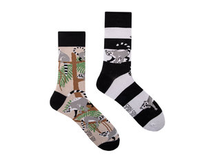 Spox Sox Lemurs by Spox Sox Lemurs by Spox Sox