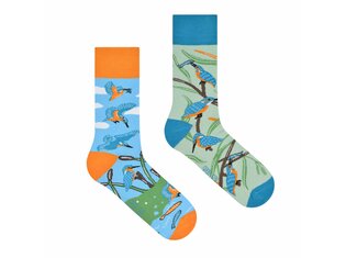 Kingfisher by Spox Sox