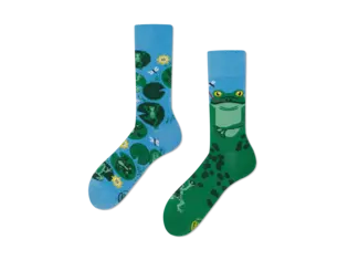 Froggy Frog by Many Mornings