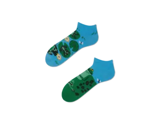 Many Mornings Froggy Frog - Laag by Many Mornings Froggy Frog - Laag by Many Mornings