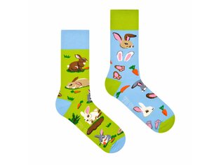 Rabbits by Spox Sox