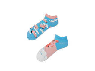 Many Mornings Piggy Dream - Laag by Many Mornings Piggy Dream - Laag by Many Mornings