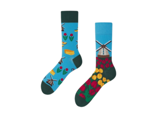 Dutch Tulips by Many Mornings