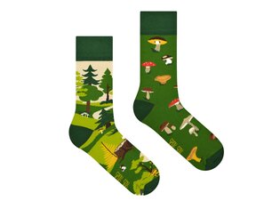 Spox Sox Mushrooms by Spox Sox Mushrooms by Spox Sox
