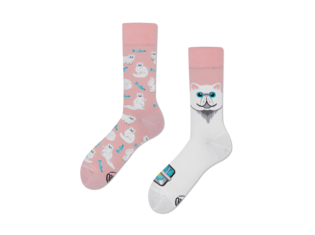 White Cat by Many Mornings