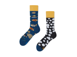 Tropical Fish by Many Mornings