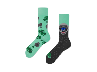 The Drill by Many Mornings