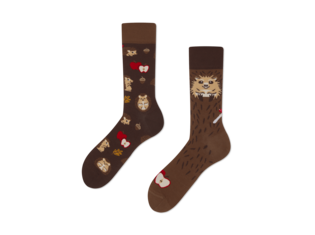 Happy hedgehog by Many Mornings