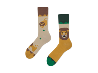 Lion around by Many Mornings