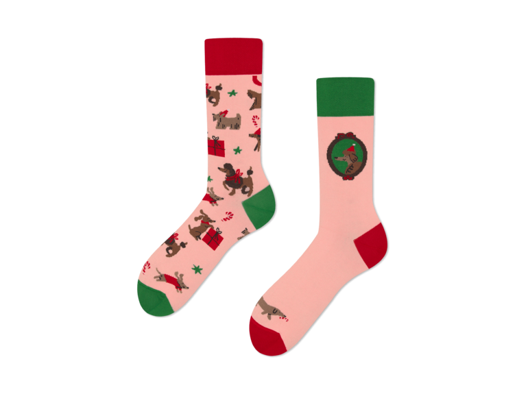 Many Mornings Winter Woofs by Many Mornings