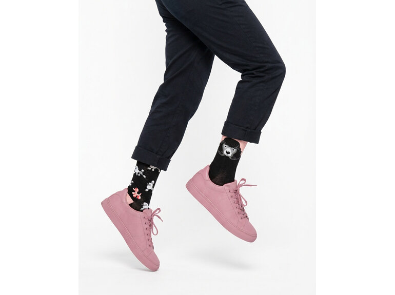 The Poodles by Many Mornings Many Mornings The Poodles by Many Mornings