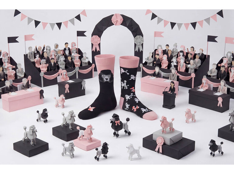 The Poodles by Many Mornings Many Mornings The Poodles by Many Mornings