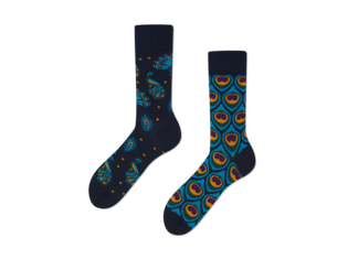 Majestic Peacock by Many Mornings