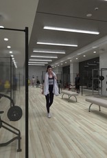 LDB Protection Screen for Sports halls