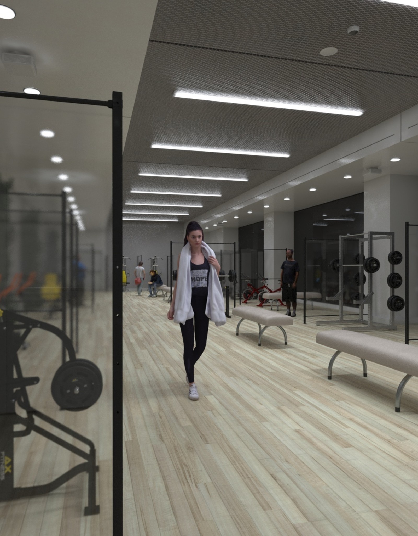 LDB Protection Screen for Sports halls