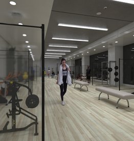 LDB Protection Screen for Sports halls