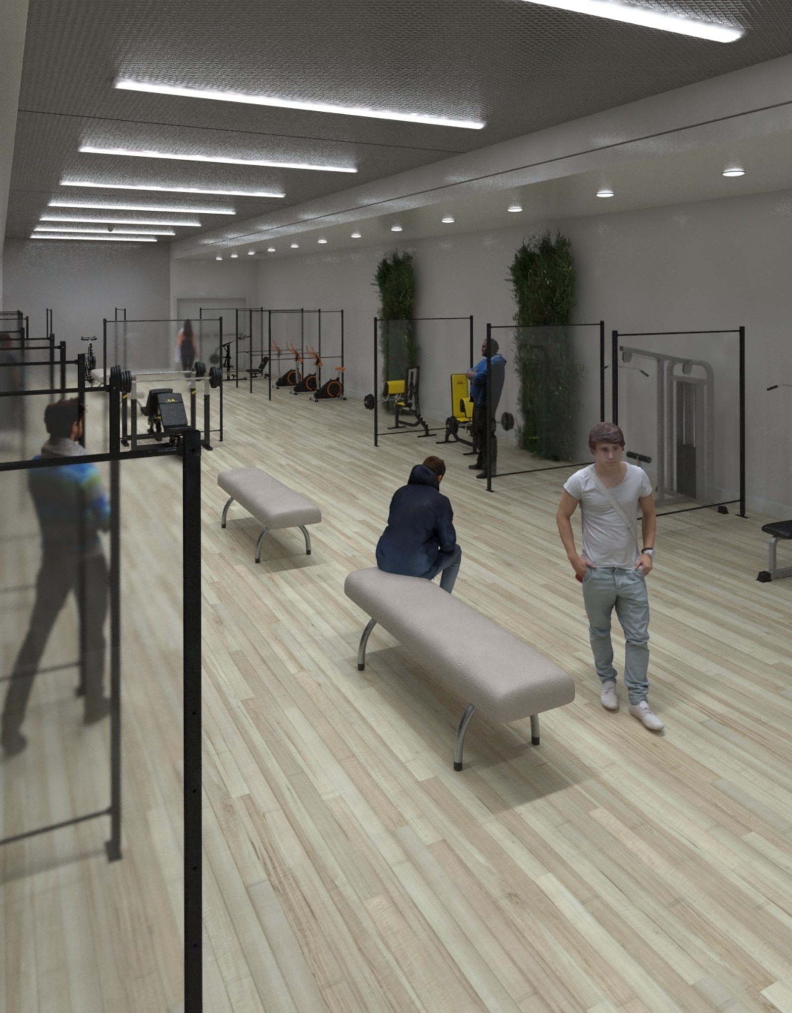 LDB Protection Screen for Sports halls