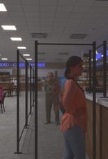 LDB Protection Screen for Shops, workshops, industries