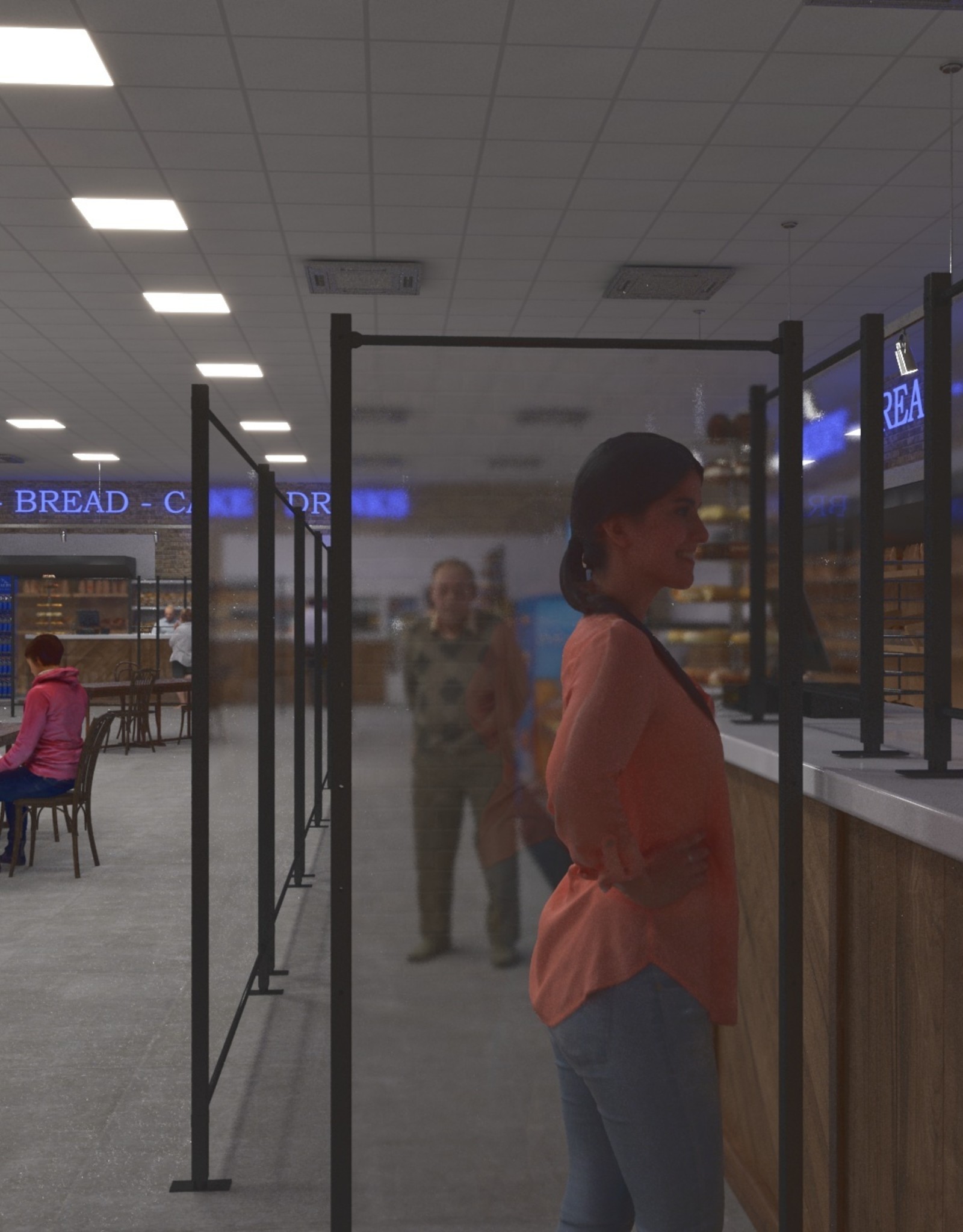 LDB Protection Screen for Shops, workshops, industries