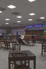 LDB Protection Screen for Shops, workshops, industries