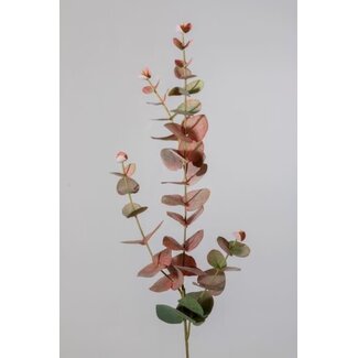 Rood/groene eucalyptustak 81 cm