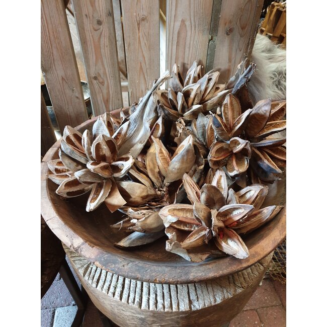 # Soroca Penca - ca. 35 x 25 cm