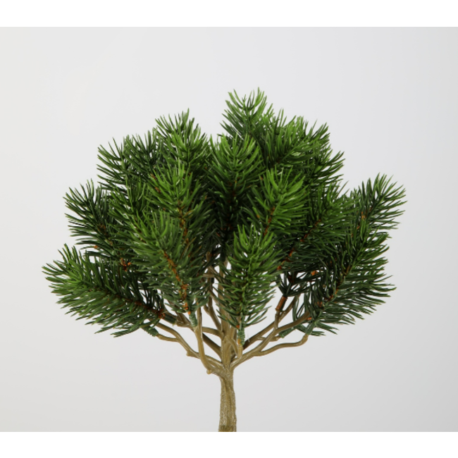 Round Pine Bush 25cm - kunst