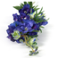 Delphinium Jesika blauw 8 x 8 x 94 cm