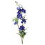 Delphinium Jesika blauw 8 x 8 x 94 cm