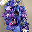 Delphinium Jesika blauw 8 x 8 x 94 cm