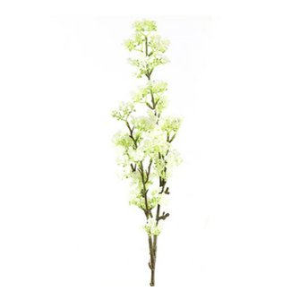 Countryfield Prunus wit-L8B8H84CM