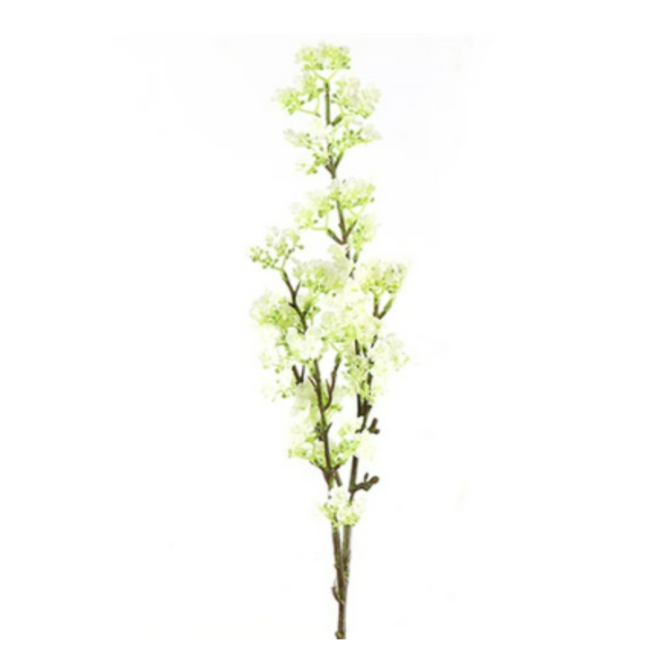 Countryfield Prunus wit-L8B8H84CM