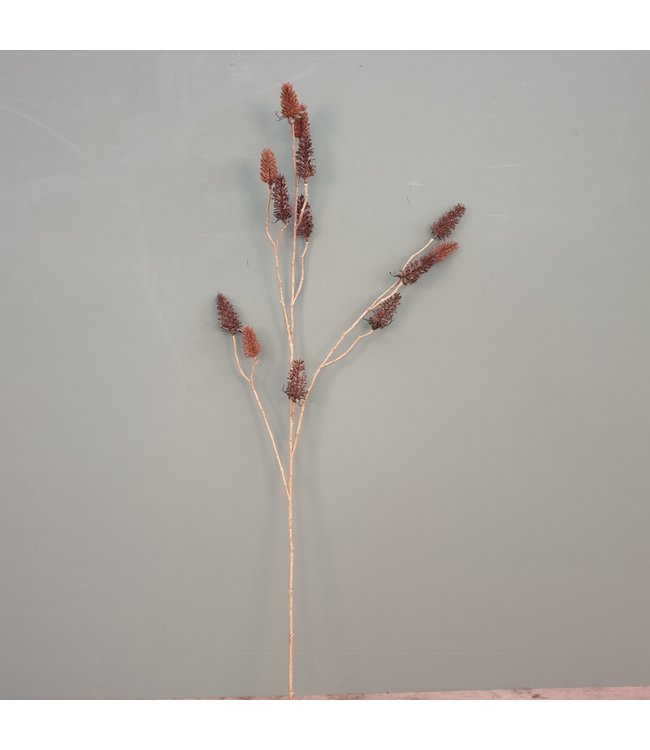 # Carduus bruin - kunst - L18B18H97CM