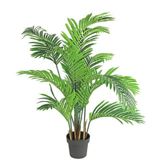 Countryfield Areca S groen-L70B70H130CM