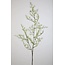 # W126 - limonium spray wit 90 cm