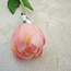 Single Tulip tulp 43 cm - roze